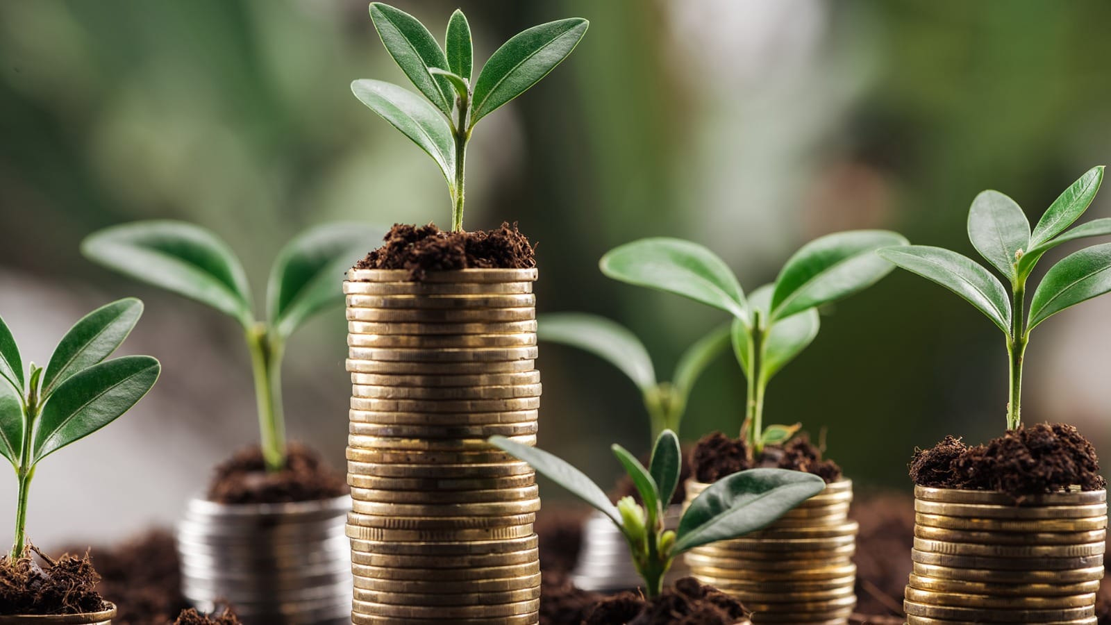 How Investors Can Discover Your Startup Faster and More Effectively