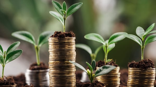 How Investors Can Discover Your Startup Faster and More Effectively
